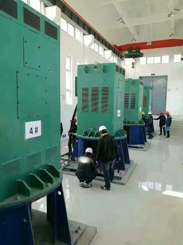 碧江某污水处理厂使用我厂的立式高压电机安装现场现货销售