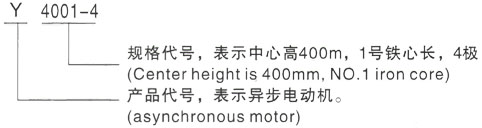 西安泰富西玛Y系列(H355-1000)高压碧江三相异步电机型号说明